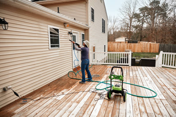 Best Pressure Washing Company Near Me  in Cold Spring, KY